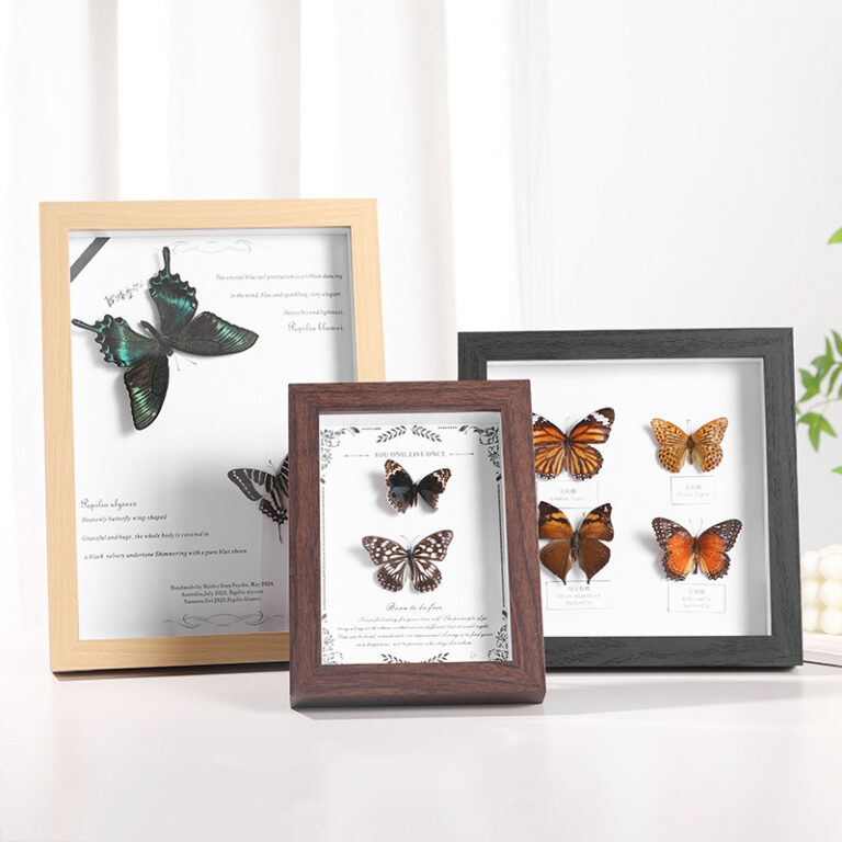 MDF Picture Frames Hollow specimen frame