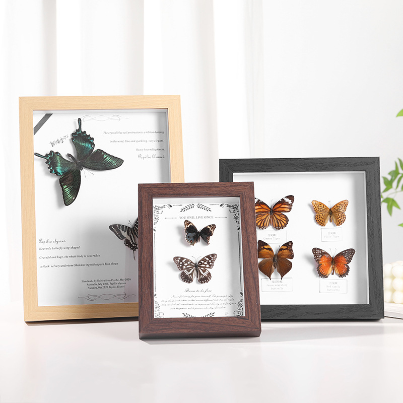 MDF Picture Frames Hollow specimen frame